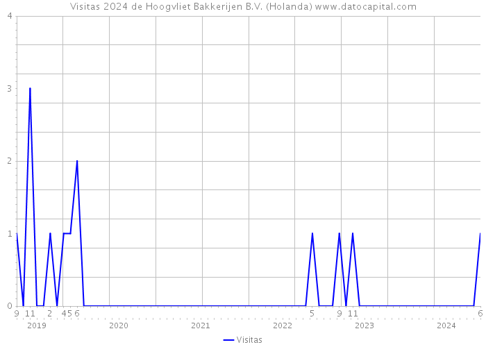 Visitas 2024 de Hoogvliet Bakkerijen B.V. (Holanda) 