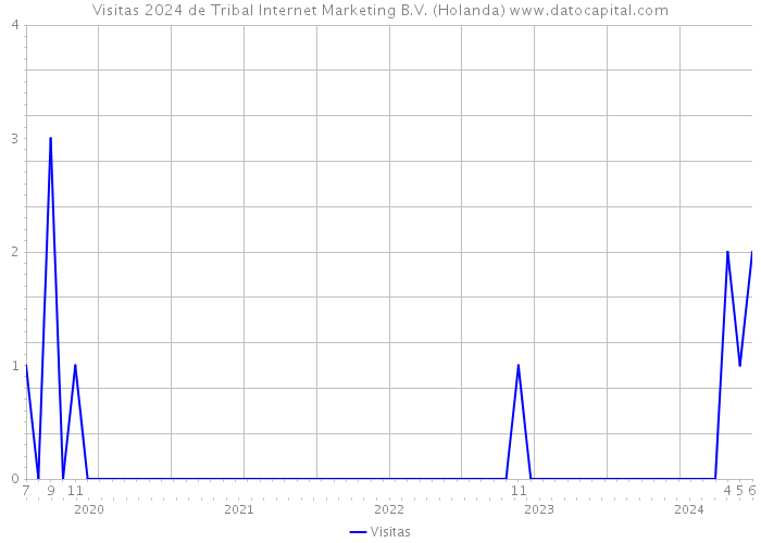 Visitas 2024 de Tribal Internet Marketing B.V. (Holanda) 