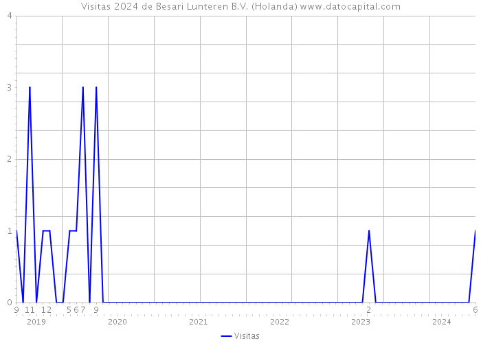 Visitas 2024 de Besari Lunteren B.V. (Holanda) 