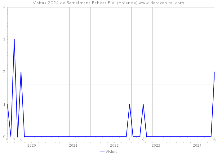 Visitas 2024 de Bemelmans Beheer B.V. (Holanda) 