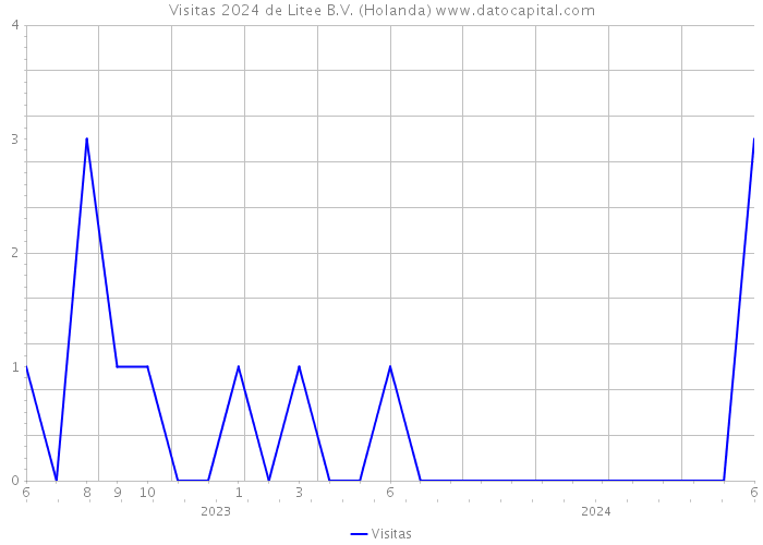 Visitas 2024 de Litee B.V. (Holanda) 