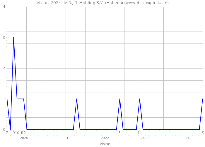 Visitas 2024 de R.J.R. Holding B.V. (Holanda) 