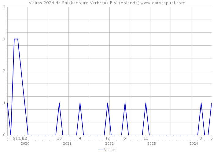Visitas 2024 de Snikkenburg Verbraak B.V. (Holanda) 
