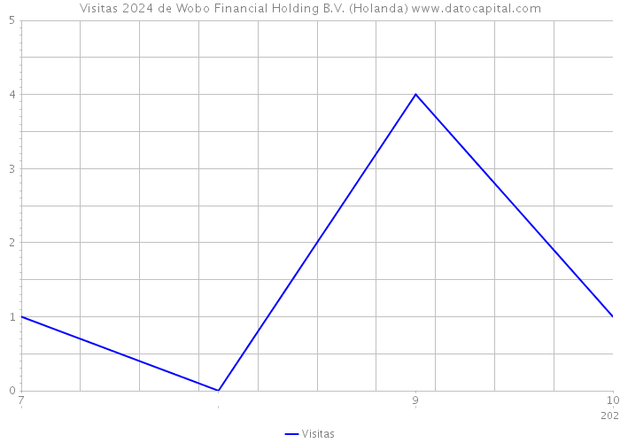 Visitas 2024 de Wobo Financial Holding B.V. (Holanda) 