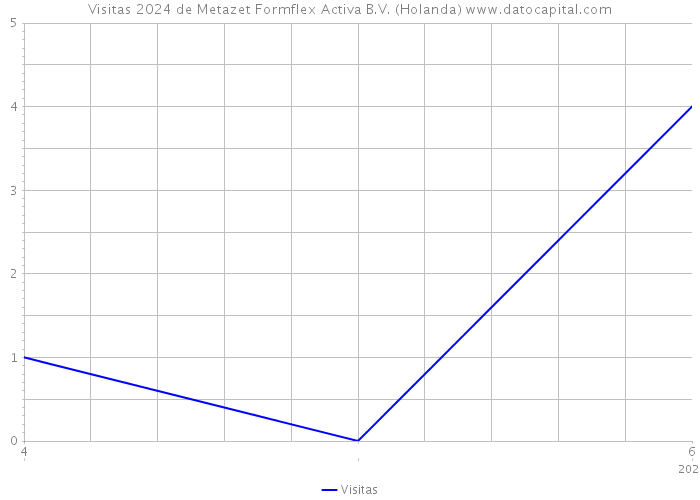 Visitas 2024 de Metazet Formflex Activa B.V. (Holanda) 