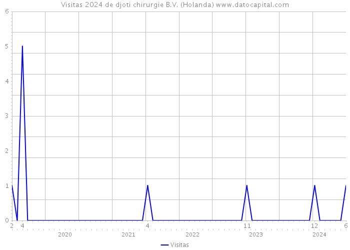 Visitas 2024 de djoti chirurgie B.V. (Holanda) 