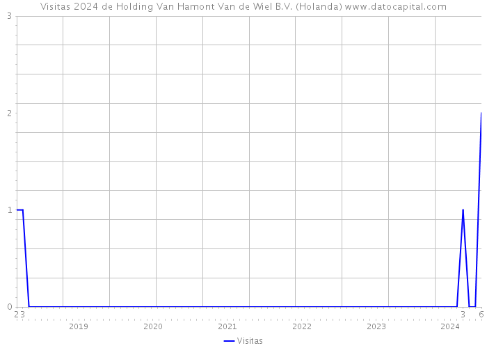 Visitas 2024 de Holding Van Hamont Van de Wiel B.V. (Holanda) 