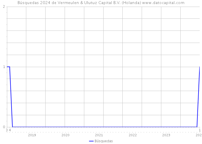 Búsquedas 2024 de Vermeulen & Ulutuz Capital B.V. (Holanda) 