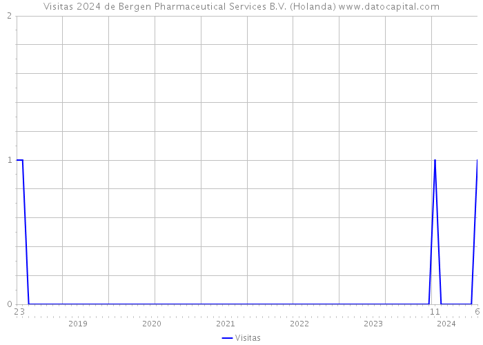 Visitas 2024 de Bergen Pharmaceutical Services B.V. (Holanda) 