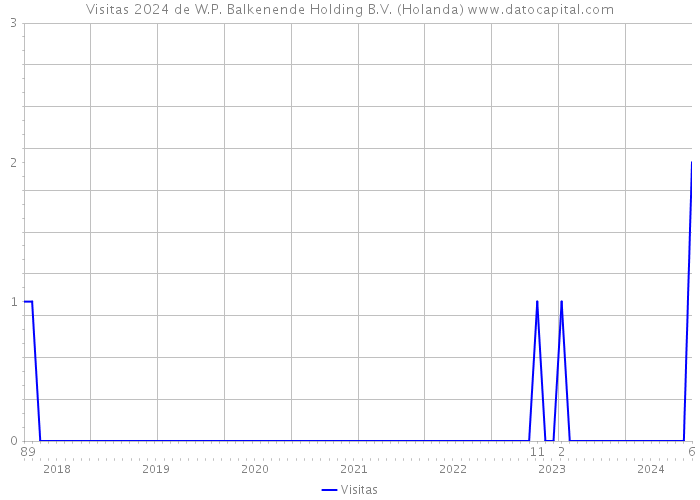 Visitas 2024 de W.P. Balkenende Holding B.V. (Holanda) 