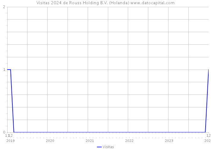 Visitas 2024 de Rouss Holding B.V. (Holanda) 