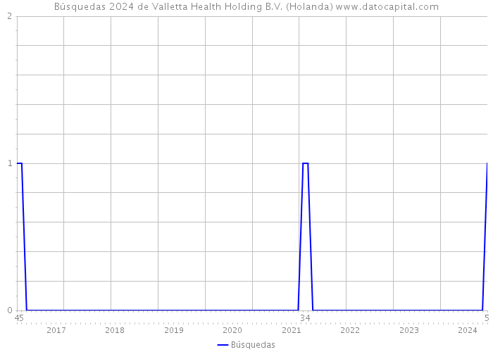 Búsquedas 2024 de Valletta Health Holding B.V. (Holanda) 