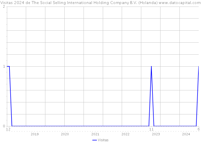 Visitas 2024 de The Social Selling International Holding Company B.V. (Holanda) 