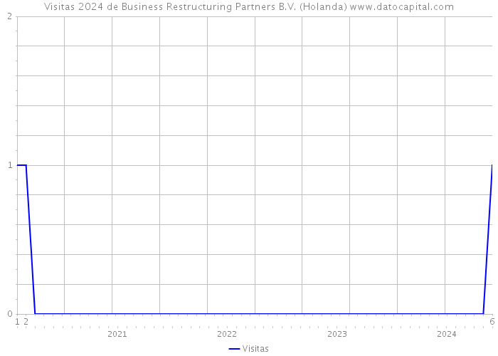 Visitas 2024 de Business Restructuring Partners B.V. (Holanda) 