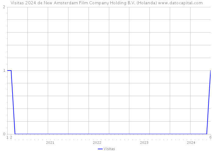 Visitas 2024 de New Amsterdam Film Company Holding B.V. (Holanda) 