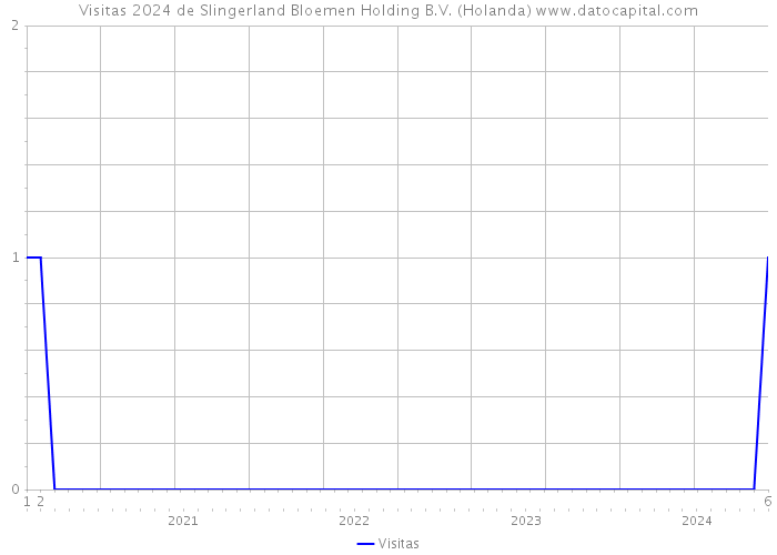 Visitas 2024 de Slingerland Bloemen Holding B.V. (Holanda) 