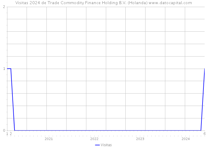 Visitas 2024 de Trade Commodity Finance Holding B.V. (Holanda) 