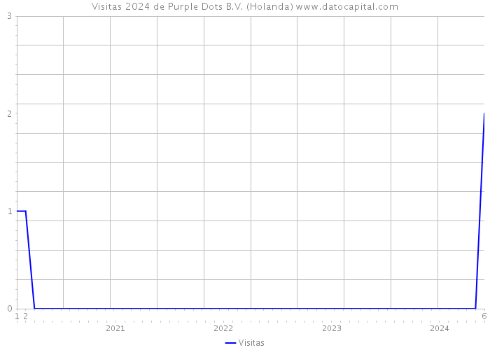 Visitas 2024 de Purple Dots B.V. (Holanda) 