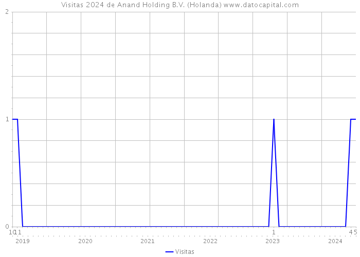 Visitas 2024 de Anand Holding B.V. (Holanda) 