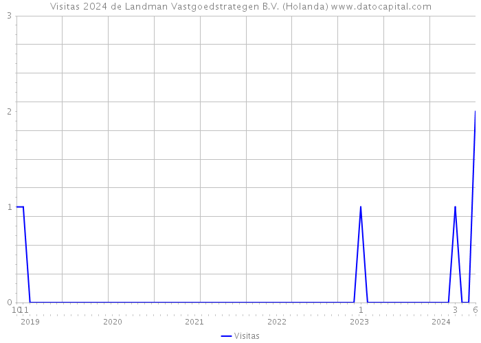 Visitas 2024 de Landman Vastgoedstrategen B.V. (Holanda) 