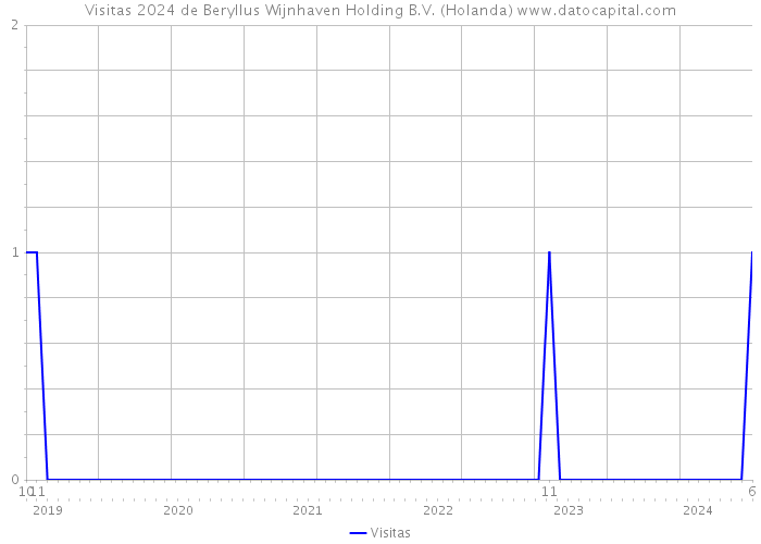 Visitas 2024 de Beryllus Wijnhaven Holding B.V. (Holanda) 