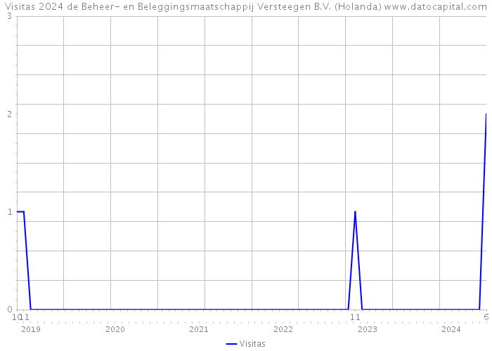 Visitas 2024 de Beheer- en Beleggingsmaatschappij Versteegen B.V. (Holanda) 