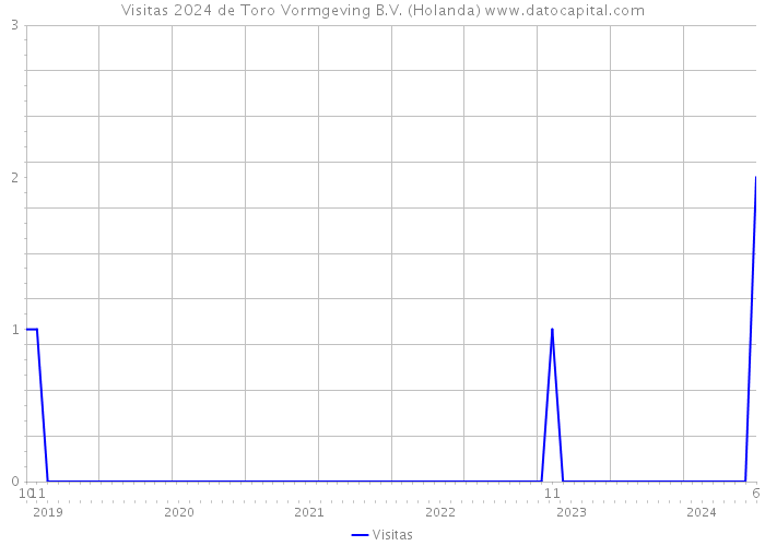 Visitas 2024 de Toro Vormgeving B.V. (Holanda) 