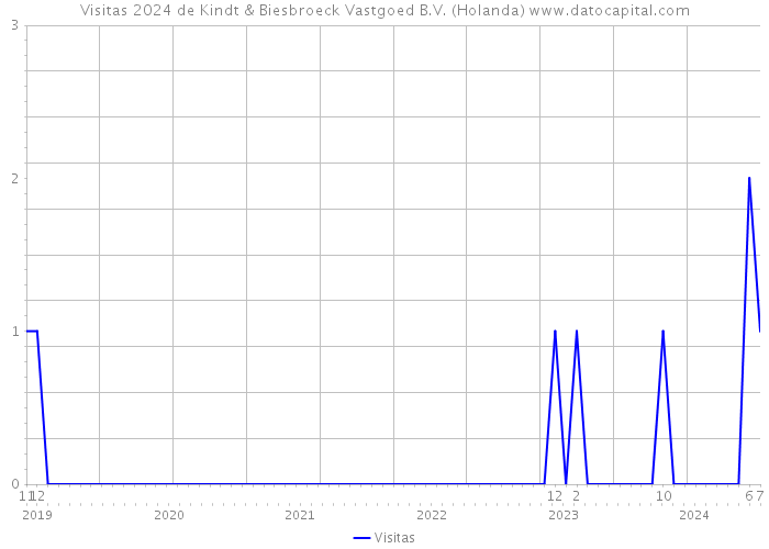 Visitas 2024 de Kindt & Biesbroeck Vastgoed B.V. (Holanda) 