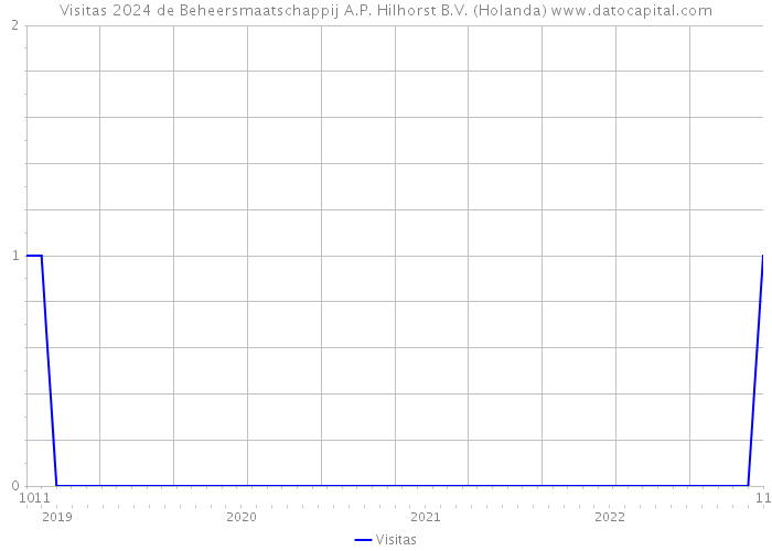 Visitas 2024 de Beheersmaatschappij A.P. Hilhorst B.V. (Holanda) 