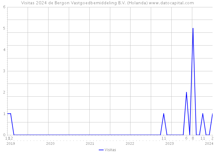 Visitas 2024 de Bergon Vastgoedbemiddeling B.V. (Holanda) 