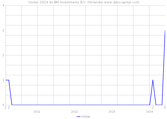 Visitas 2024 de BM Investments B.V. (Holanda) 