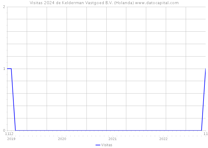 Visitas 2024 de Kelderman Vastgoed B.V. (Holanda) 