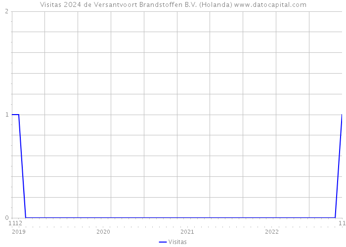 Visitas 2024 de Versantvoort Brandstoffen B.V. (Holanda) 