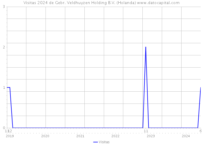 Visitas 2024 de Gebr. Veldhuyzen Holding B.V. (Holanda) 