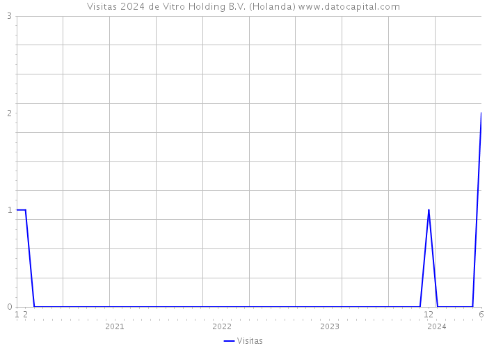 Visitas 2024 de Vitro Holding B.V. (Holanda) 