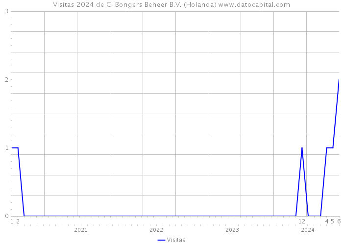 Visitas 2024 de C. Bongers Beheer B.V. (Holanda) 