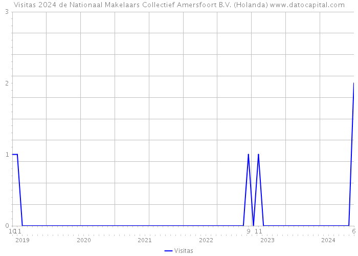 Visitas 2024 de Nationaal Makelaars Collectief Amersfoort B.V. (Holanda) 