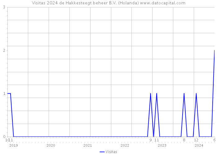 Visitas 2024 de Hakkesteegt beheer B.V. (Holanda) 