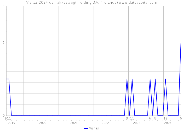 Visitas 2024 de Hakkesteegt Holding B.V. (Holanda) 