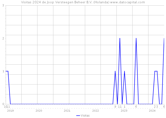 Visitas 2024 de Joop Versteegen Beheer B.V. (Holanda) 