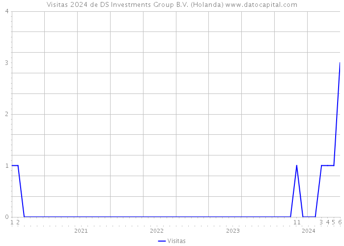 Visitas 2024 de DS Investments Group B.V. (Holanda) 