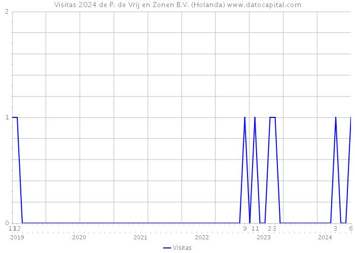 Visitas 2024 de P. de Vrij en Zonen B.V. (Holanda) 