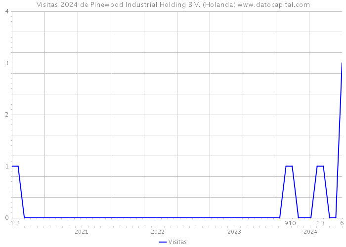 Visitas 2024 de Pinewood Industrial Holding B.V. (Holanda) 