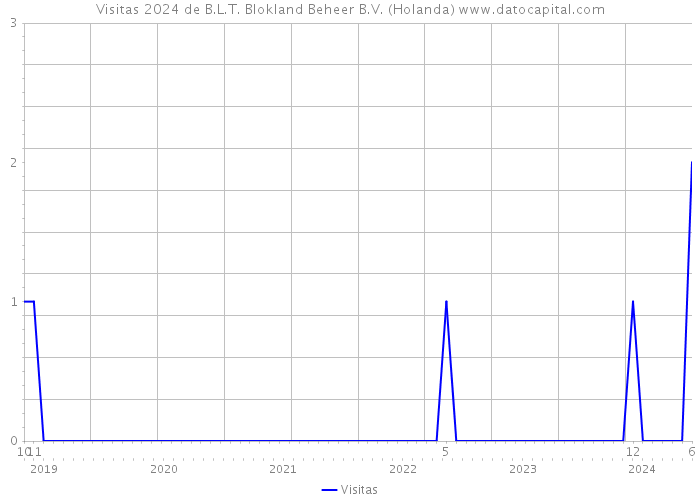 Visitas 2024 de B.L.T. Blokland Beheer B.V. (Holanda) 