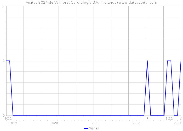 Visitas 2024 de Verhorst Cardiologie B.V. (Holanda) 
