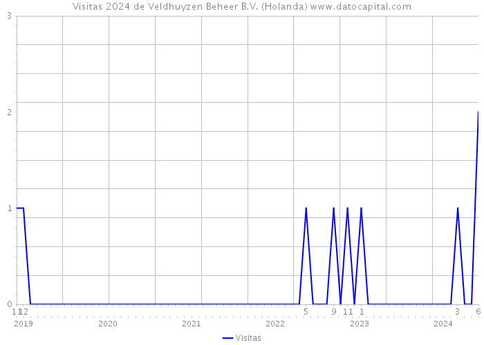 Visitas 2024 de Veldhuyzen Beheer B.V. (Holanda) 