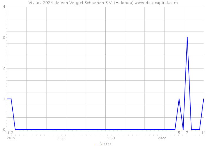 Visitas 2024 de Van Veggel Schoenen B.V. (Holanda) 
