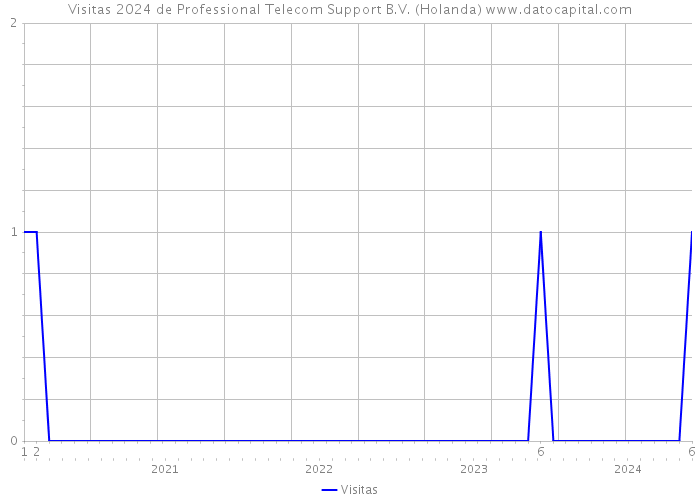 Visitas 2024 de Professional Telecom Support B.V. (Holanda) 