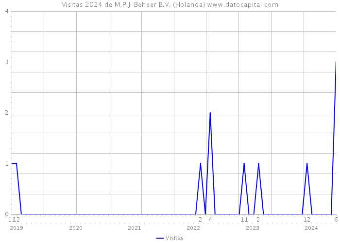 Visitas 2024 de M.P.J. Beheer B.V. (Holanda) 