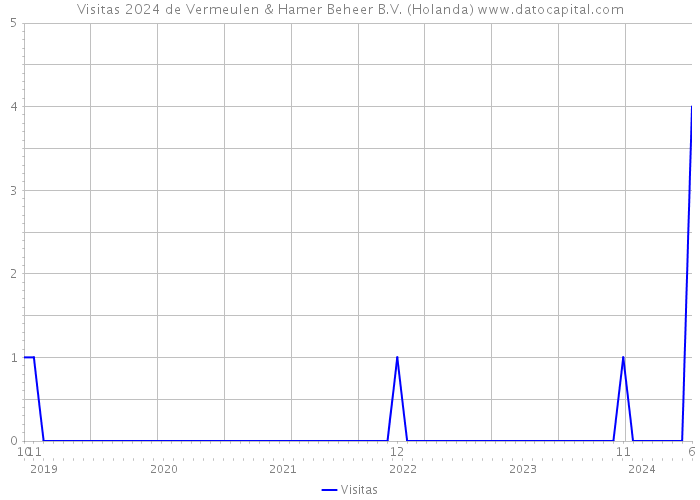 Visitas 2024 de Vermeulen & Hamer Beheer B.V. (Holanda) 